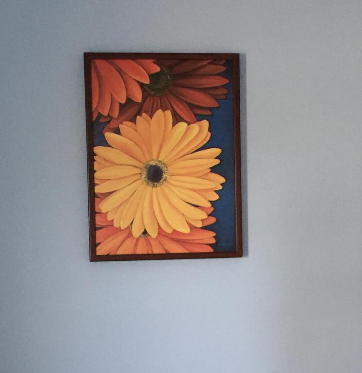 Dreamweavers Cottages And Home Place Vacation Home Rustico エクステリア 写真